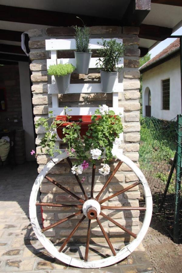 Palic Vila Masa Pr Emina Stipancevic ภายนอก รูปภาพ