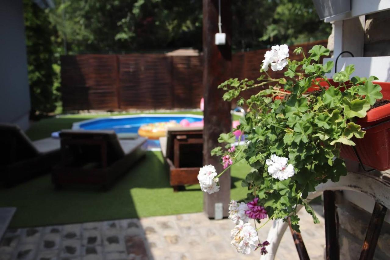 Palic Vila Masa Pr Emina Stipancevic ภายนอก รูปภาพ