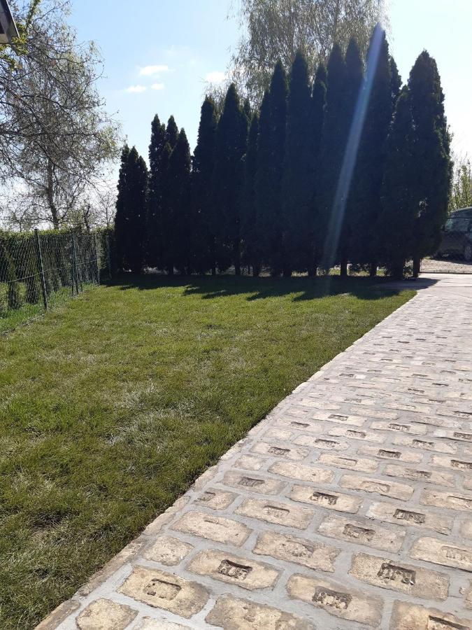 Palic Vila Masa Pr Emina Stipancevic ภายนอก รูปภาพ